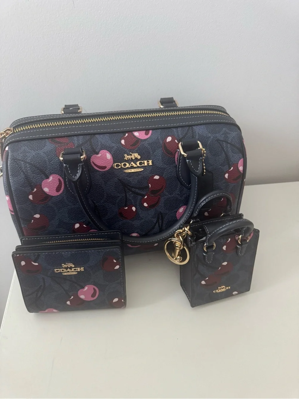 NWT Coach Rowan Satchel Cherry Signature Canvas | NWOT Snap Wallet & Charm